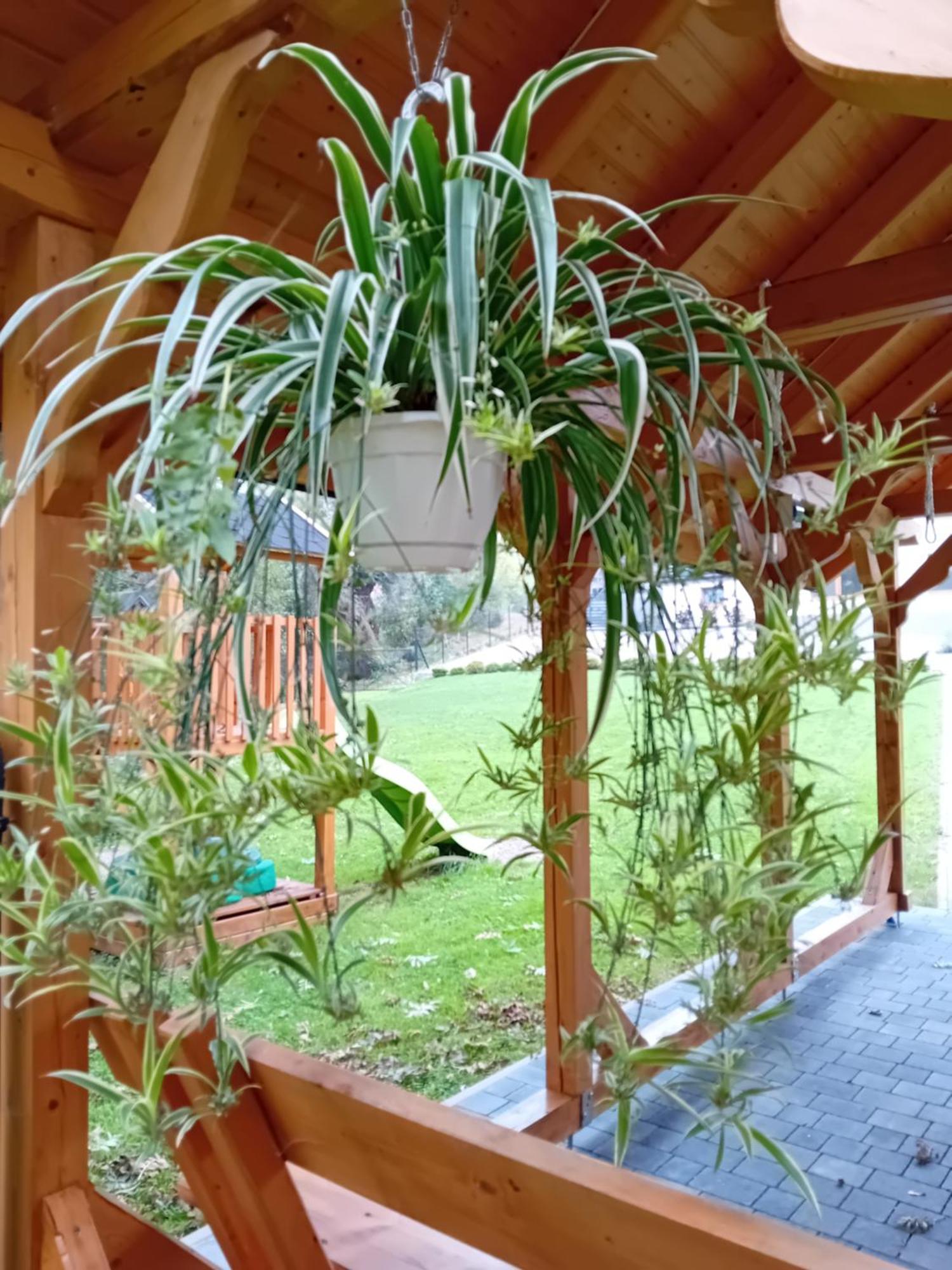 Apartamenty Nad Rzeka Kacwin Luaran gambar